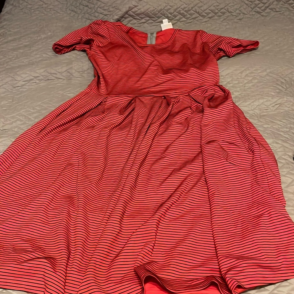 Lularoe Amelia